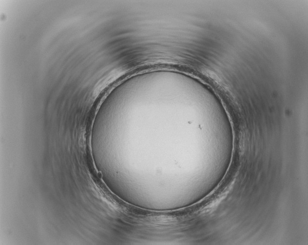 X0000088831113200706281749