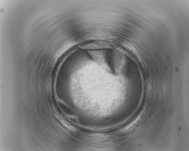 X0000088831114200706281749