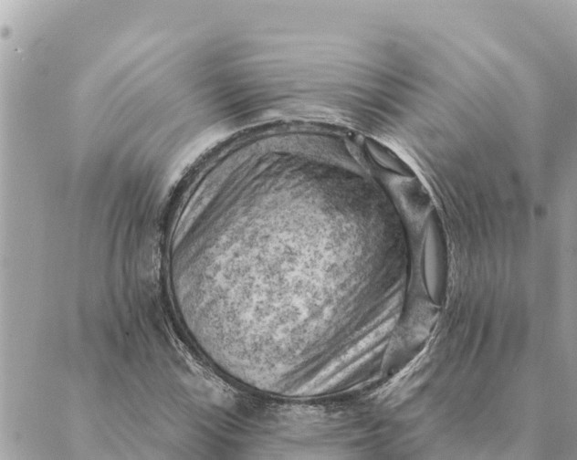 X0000088831115200706281749