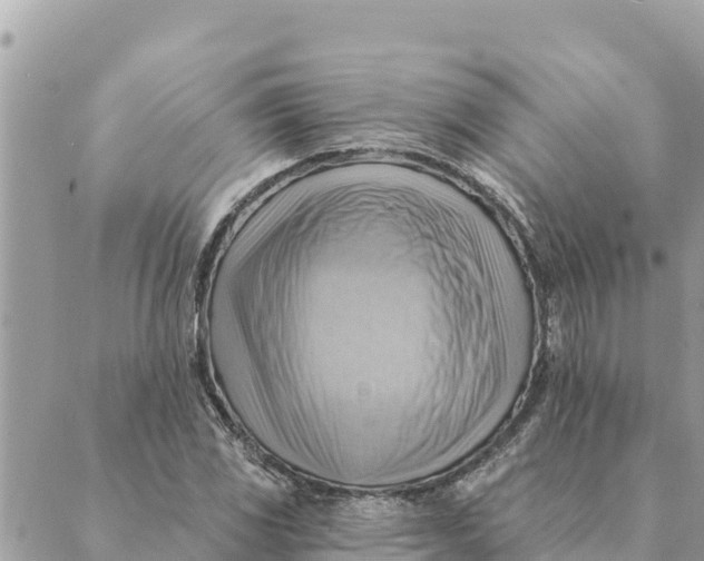 X0000088831117200706281749