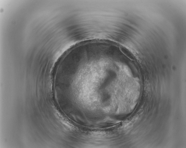 X0000088831118200706281749