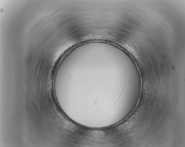 X0000088831119200706281749