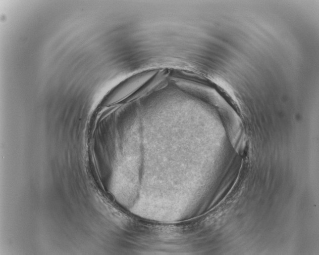 X0000088831120200706281749