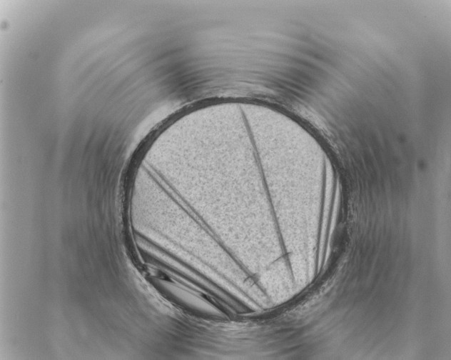 X0000088831122200706281749