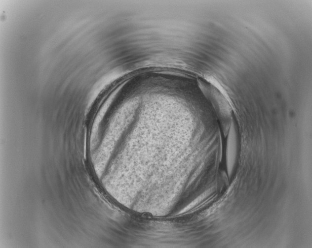 X0000088831123200706281749