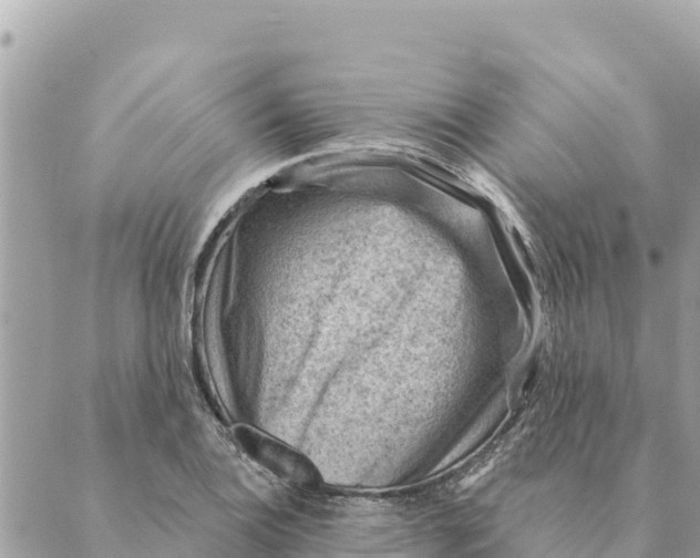 X0000088831124200706281749