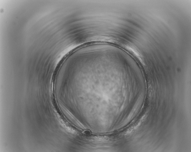 X0000088831125200706281749