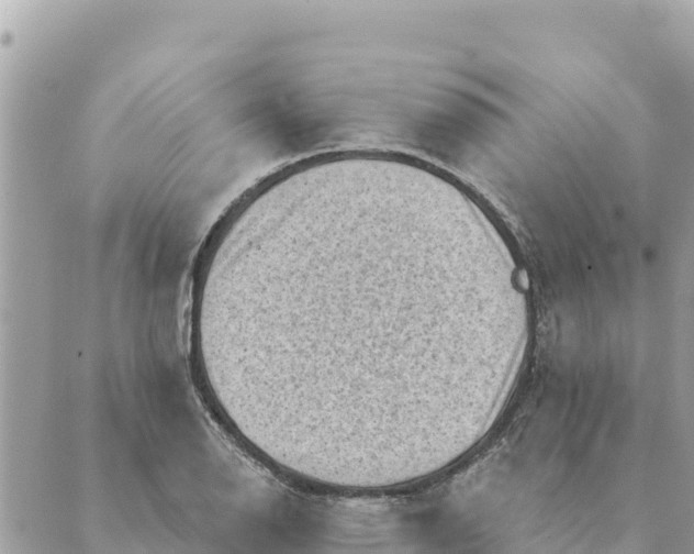 X0000088831126200706281749