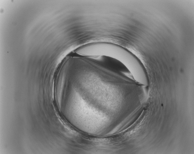 X0000088831127200706281749