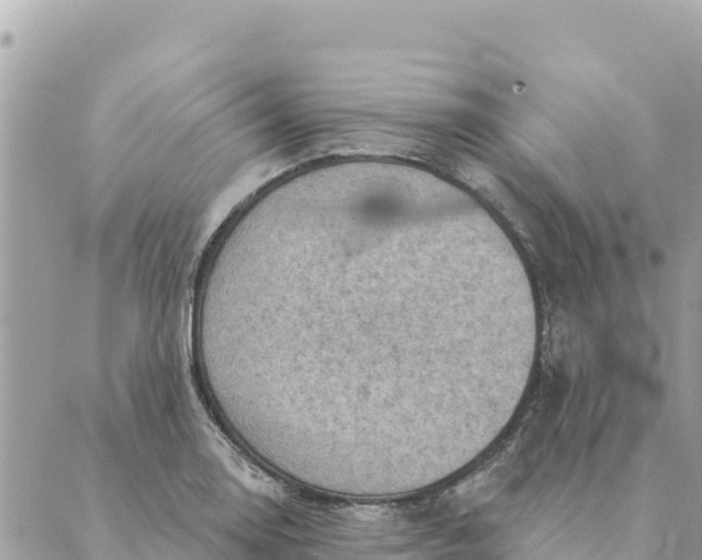 X0000088831130200706281749