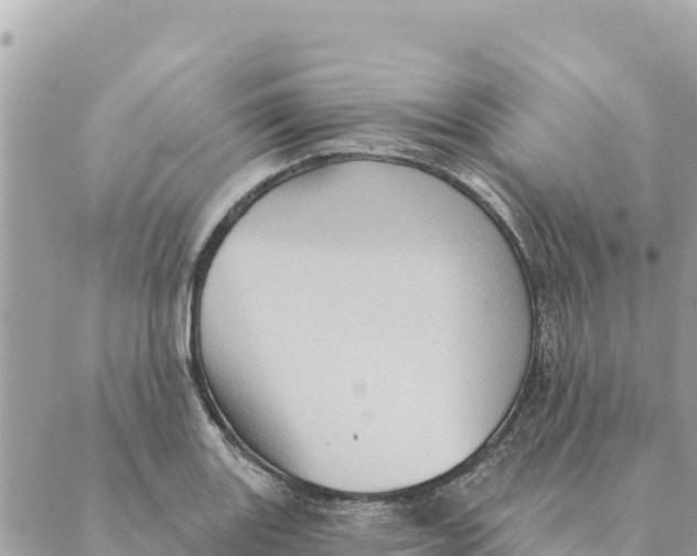 X0000088831131200706281749