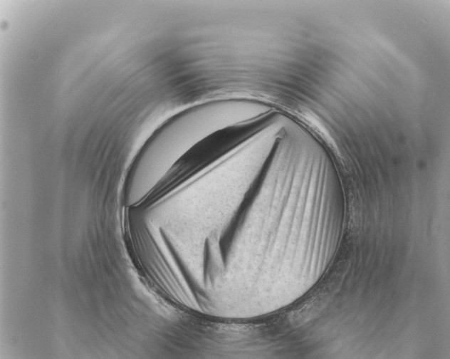 X0000088831132200706281749