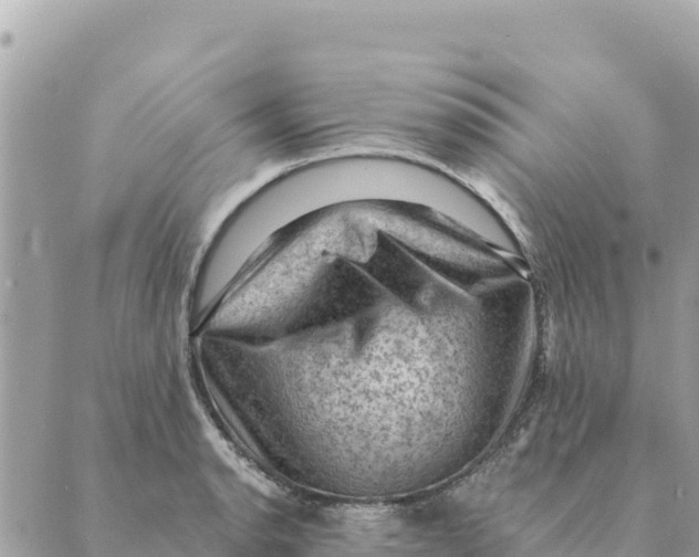 X0000088831134200706281749