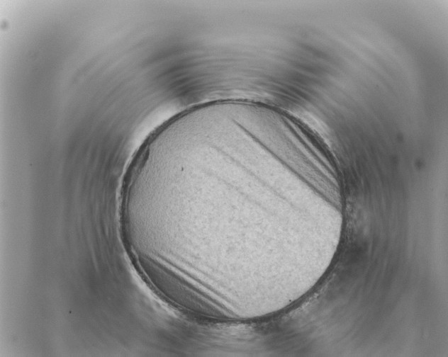 X0000088831135200706281749