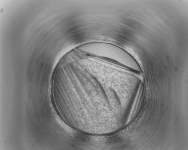 X0000088831136200706281749