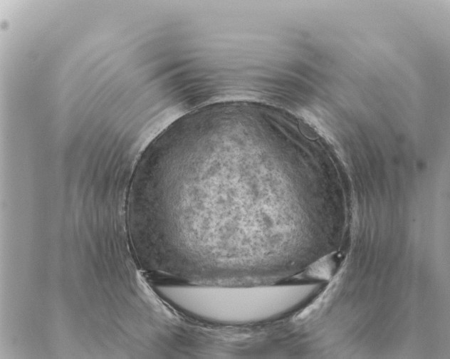 X0000088831137200706281749