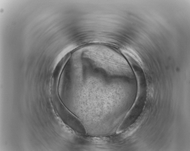 X0000088831138200706281749