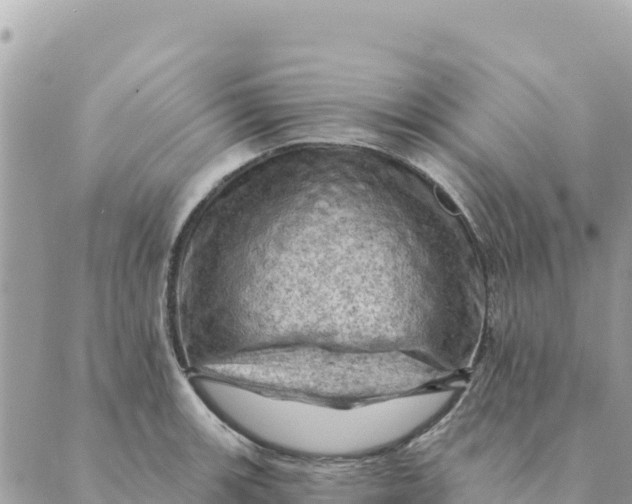 X0000088831139200706281749