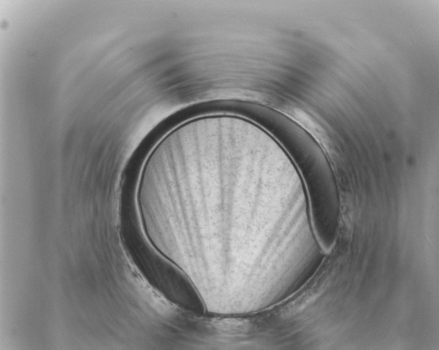 X0000088831140200706281749