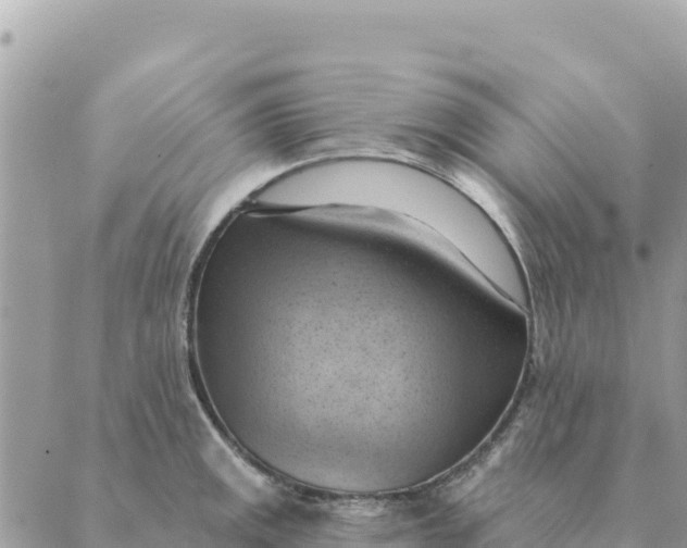 X0000088831141200706281749