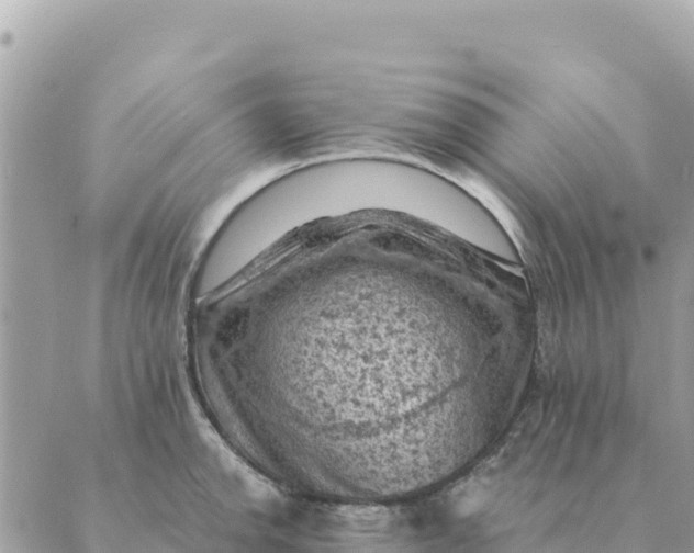 X0000088831142200706281749