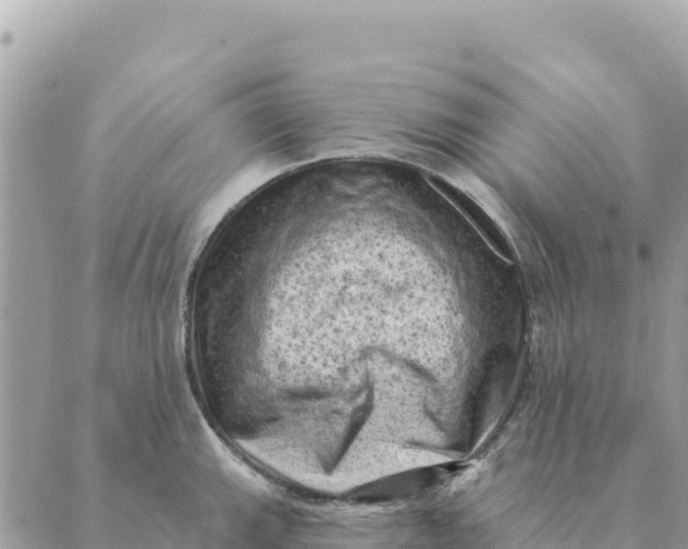 X0000088831143200706281749