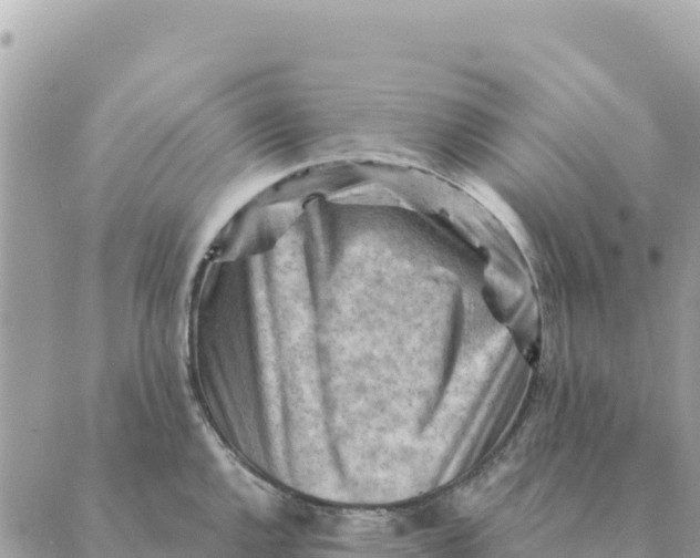 X0000088831144200706281749