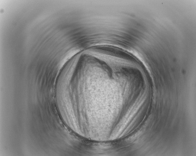 X0000088831145200706281749