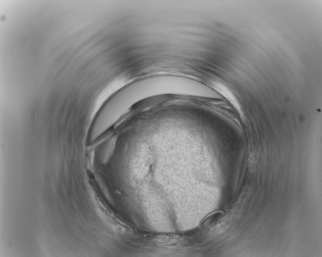 X0000088831146200706281749