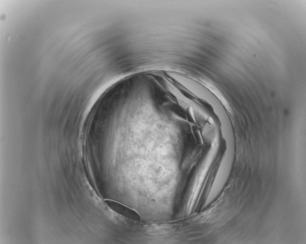 X0000088831148200706281749