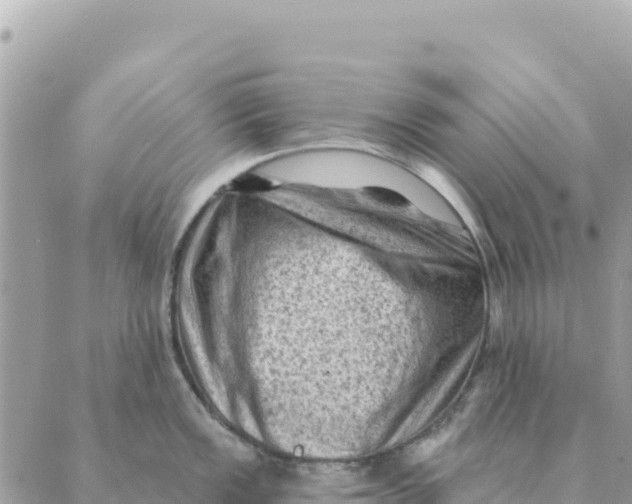 X0000088831149200706281749