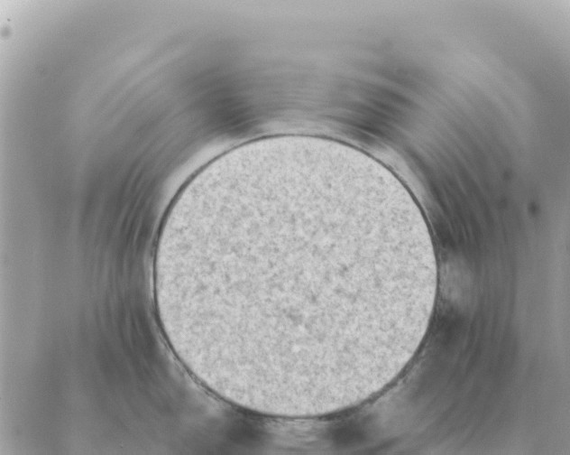 X0000088831150200706281749