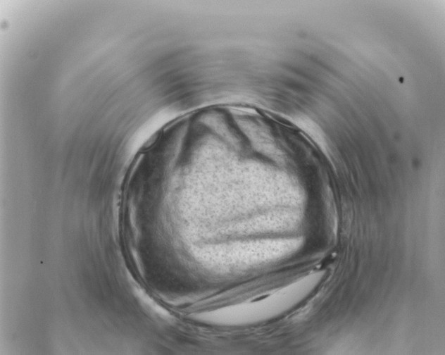 X0000088831151200706281749