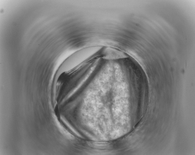 X0000088831152200706281749