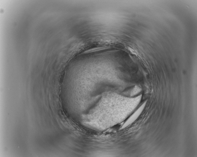 X0000088831153200706281749