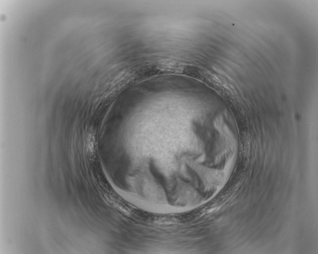 X0000088831154200706281749