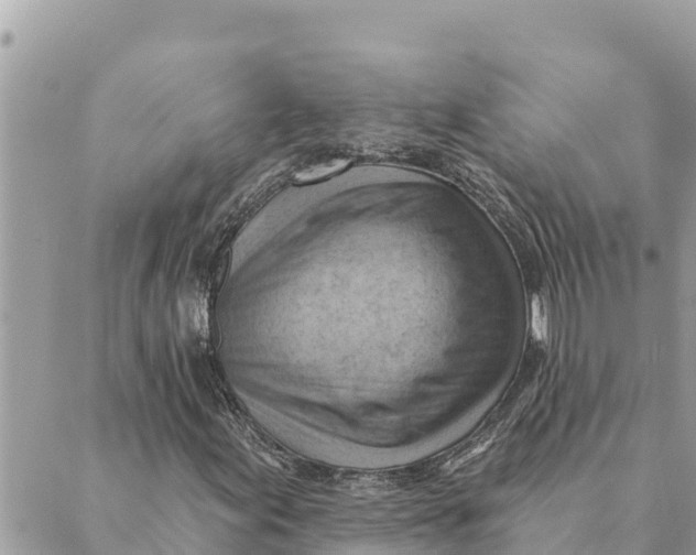 X0000088831155200706281749