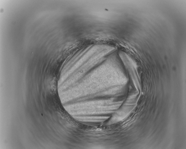 X0000088831156200706281749