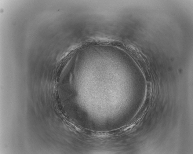 X0000088831157200706281749