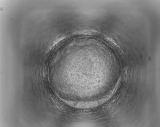 X0000088831158200706281749