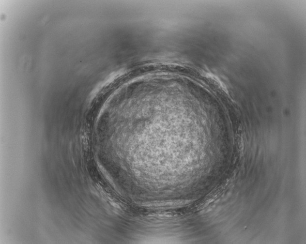 X0000088831159200706281749