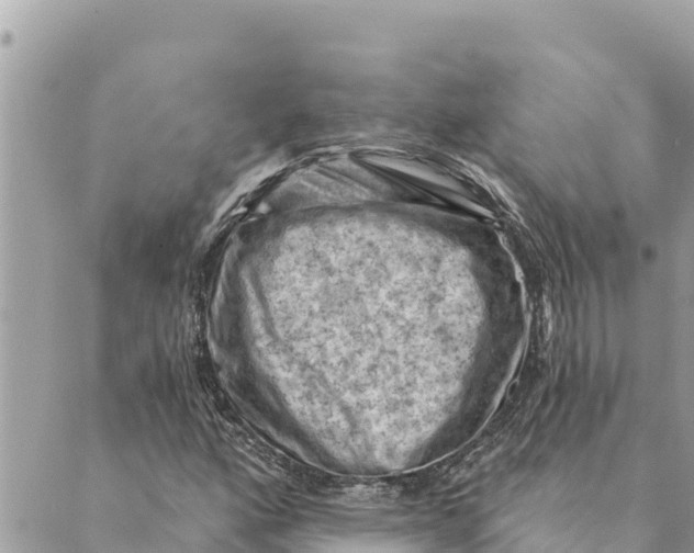 X0000088831160200706281749