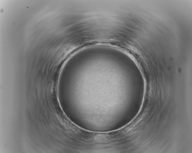 X0000088831161200706281749