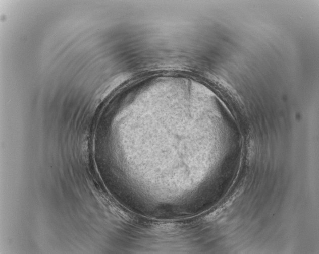 X0000088831162200706281748