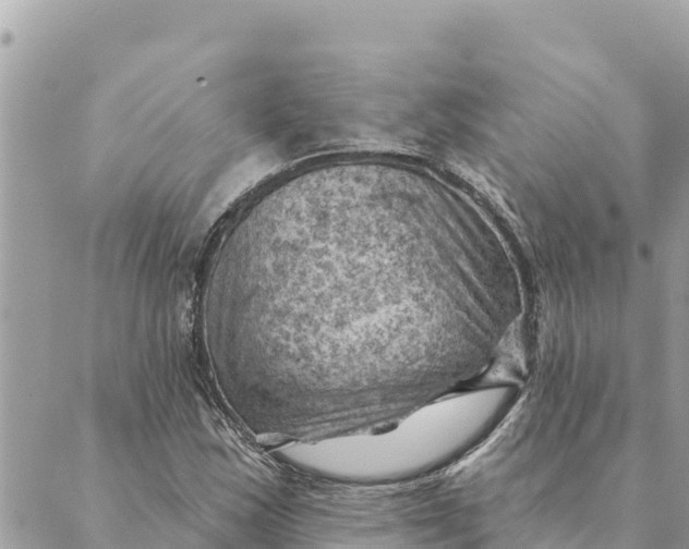 X0000088831163200706281748