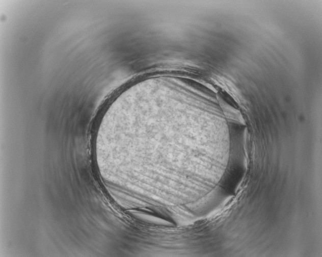 X0000088831164200706281748