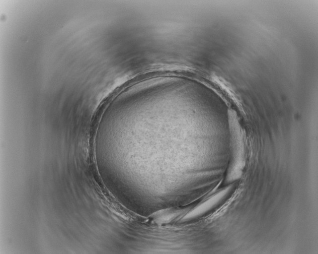 X0000088831165200706281748