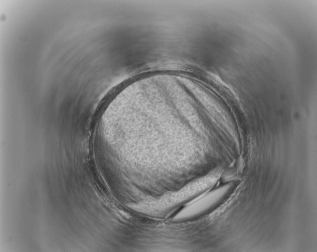 X0000088831166200706281748