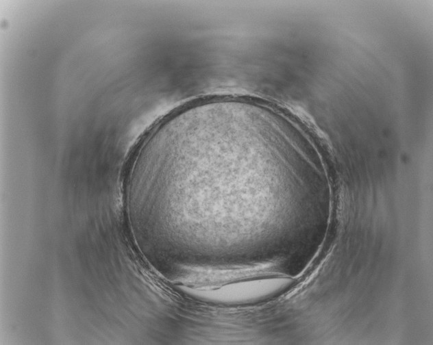 X0000088831167200706281748