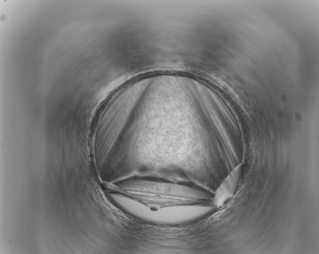 X0000088831168200706281748